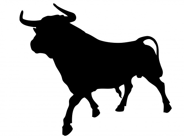bull-163667_640