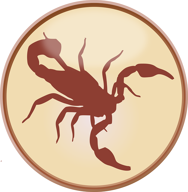 Segno Zodiacale Scorpione Interazione Armonica